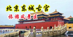 猛插骚B自拍视频中国北京-东城古宫旅游风景区
